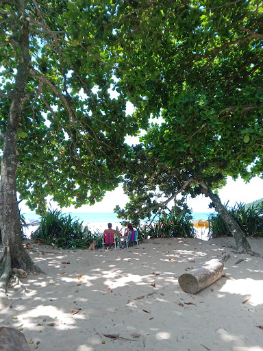 Camping Maria Branca - Main Image