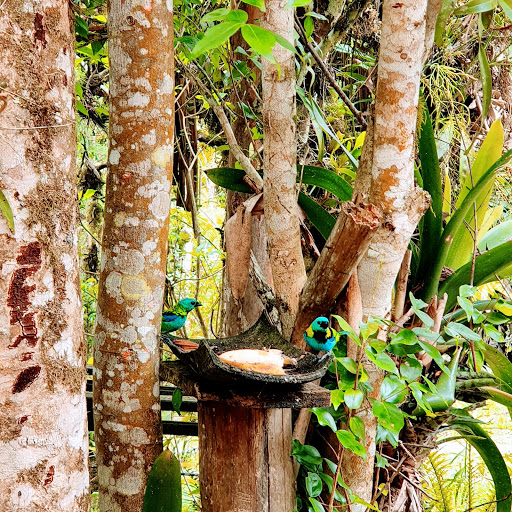 Camping Parque Onça Parda - Image 2