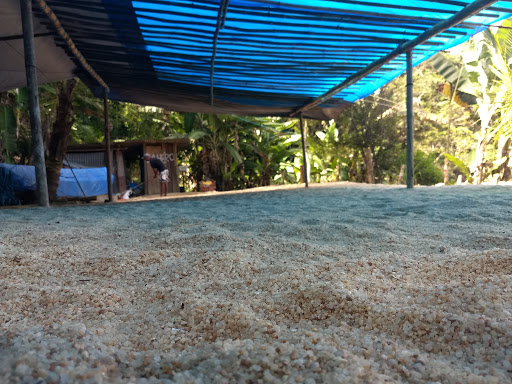 Camping Ezequiel, do - Main Image