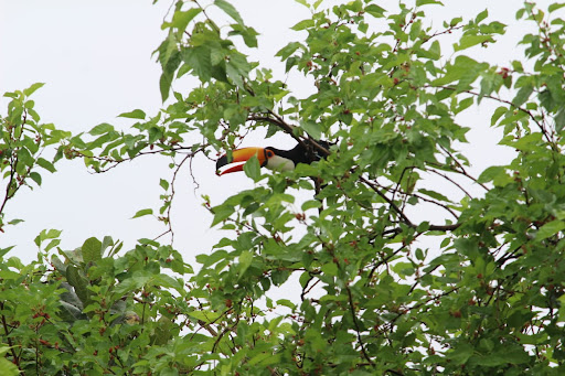 Camping Parque Ipê - Image 2
