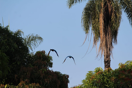 Camping Parque Ipê - Image 4