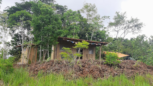 Camping Rústico Acolina - Main Image