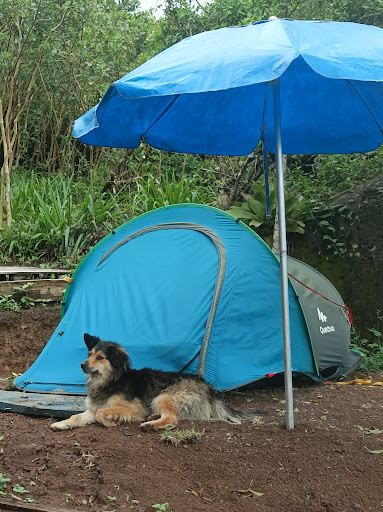 Camping Paulinho Godoy - Image 2