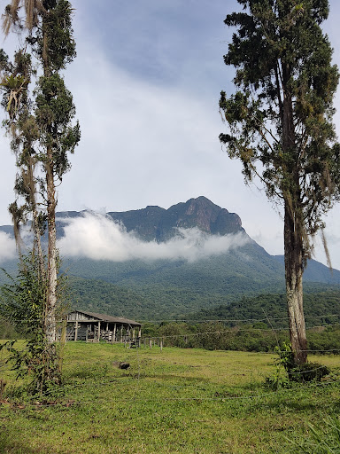 Surf Camping Vovó Rô - Image 2