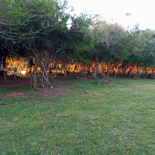 Camping Don Ari - Image 3