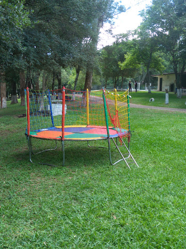 Camping Masetto - Image 3
