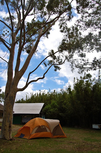 Camping Tchê Acqua Park - Image 4