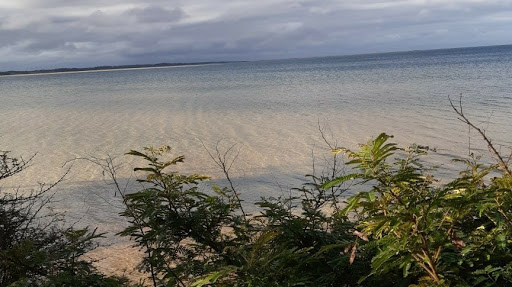 Camping do Chico - Image 3