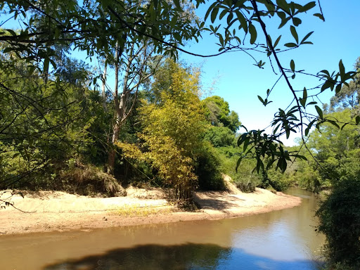 Camping dos Sonhos - Image 4