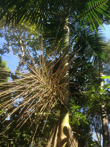 Camping Esconderijo da Serra - Main Image