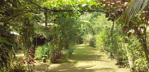 Camping Raíz do Sono - Image 2