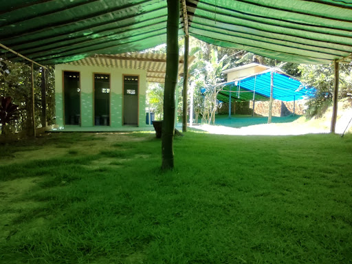 Camping do Digão - Image 4