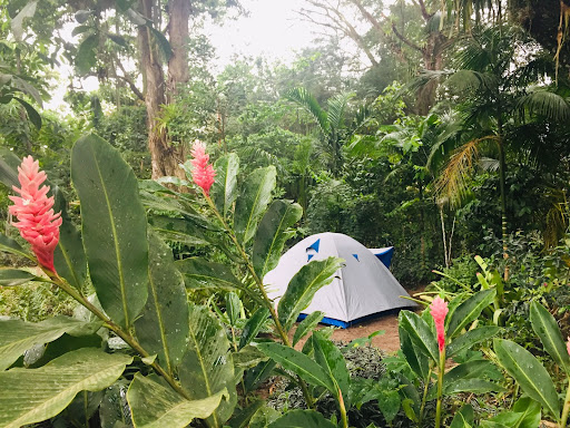 Camping da Terra - Image 4