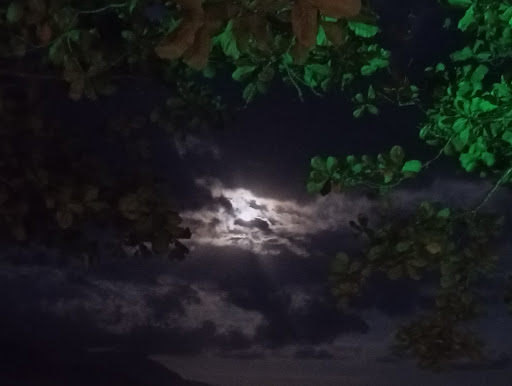 Camping Casa Torta - Image 4