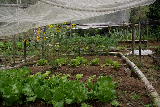 Camping Pousada Cabanas da Fazenda e Gran Camping - Image 3