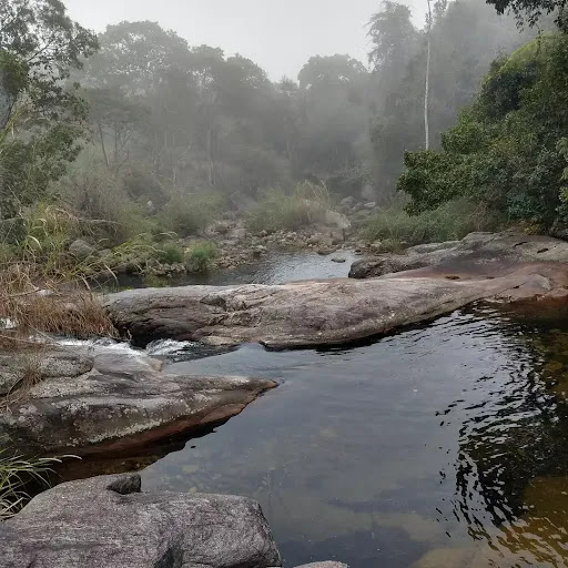 Camping Green Action - Image 2