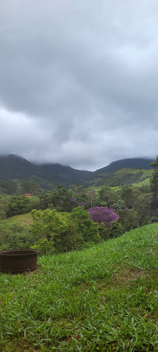 Camping Green Action - Image 3