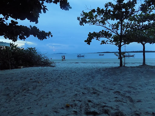 Camping do Pacheco - Image 3