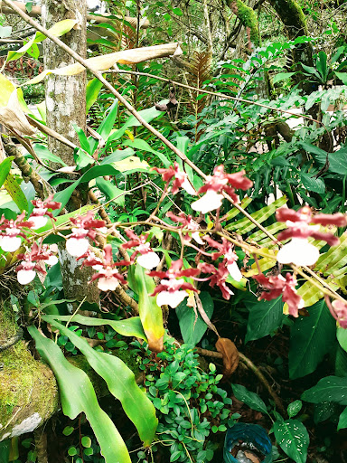 Camping do Gaúcho - Image 3