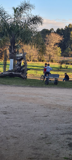 Camping Witmarsum - Main Image