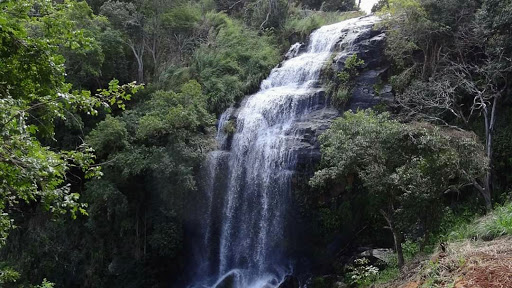 Camping Cachoeira do Pingas - Image 2