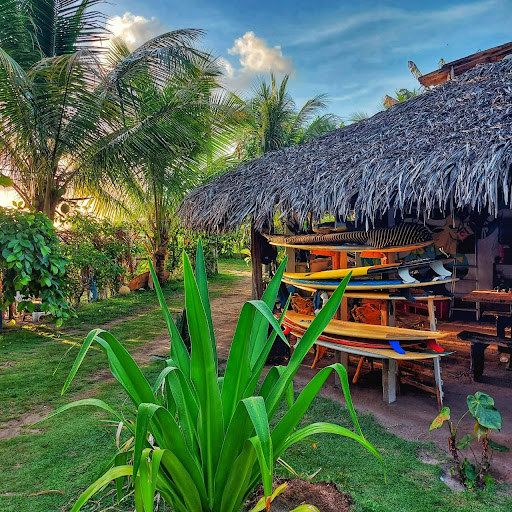 Sarau Surf Camping - Image 2