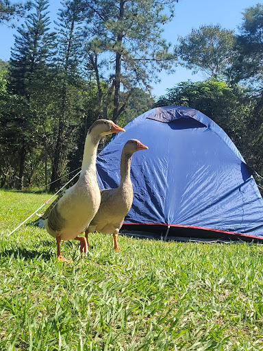 Camping Refúgio do Guerreiro - Image 3