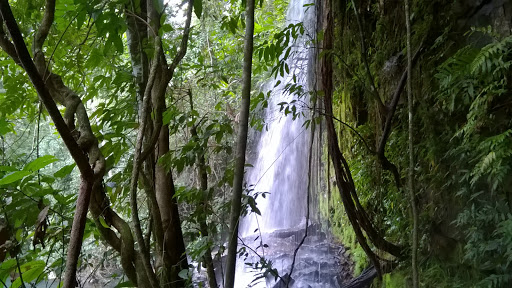Camping Estância Poço Azul - Image 2