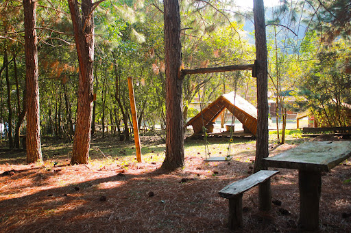 Camping dos Pinheiros - Image 4