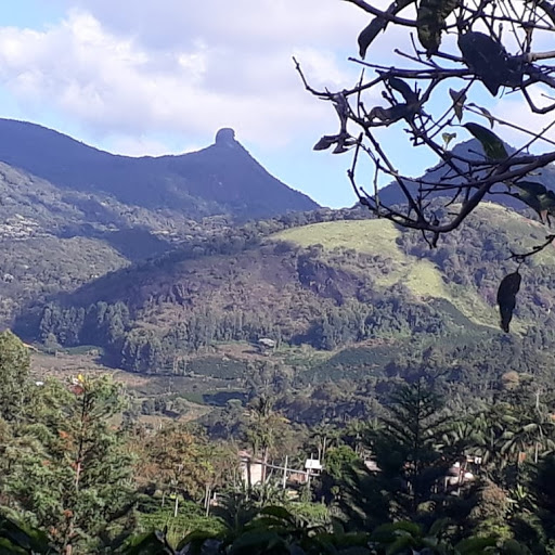 Camping Fazenda do Remanso - Image 3