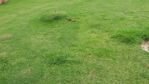 Camping do Delei - Main Image