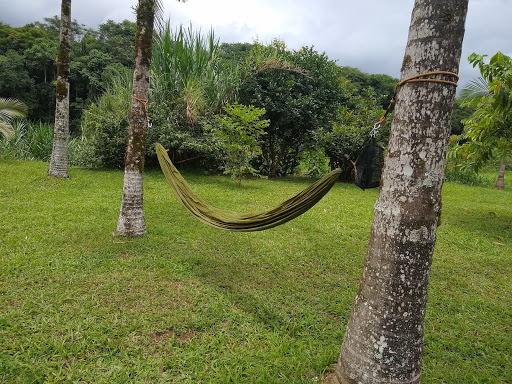 Camping Renascer (Em Construção) - Image 3