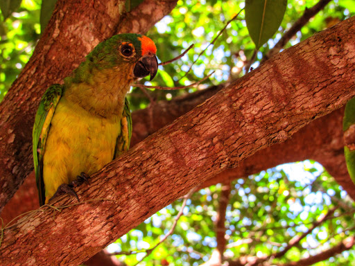 Camping Solar de Itaúnas - Image 3