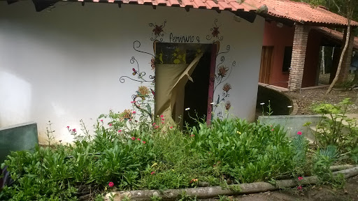 Camping Guapira - Main Image