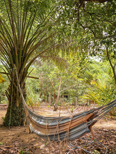 Camping EcoTrancoso - Main Image