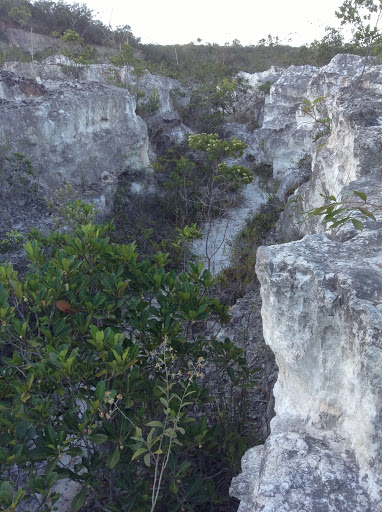 Camping Cratera Lunar - Image 2