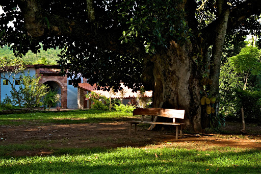 Camping Lumiar - Image 3