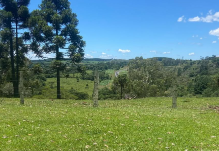 Camping do Tio Celso - Lages - Image 2