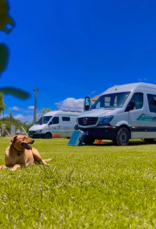 Villa Park Penha - Imagem 2