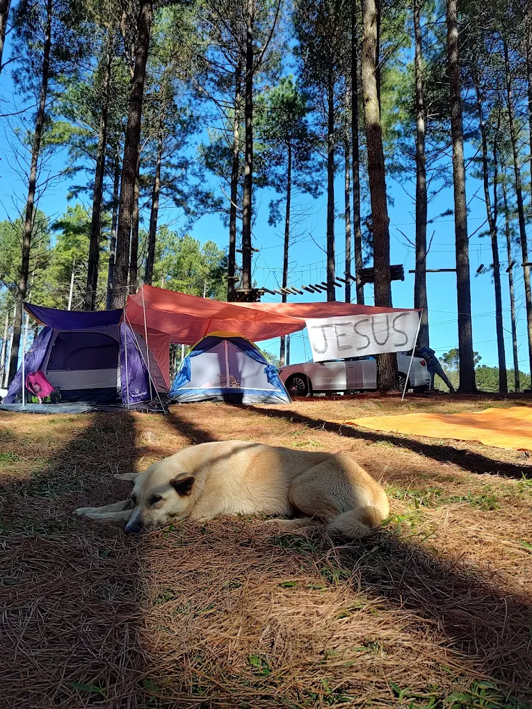 Área de Camping Principal - imagem 4