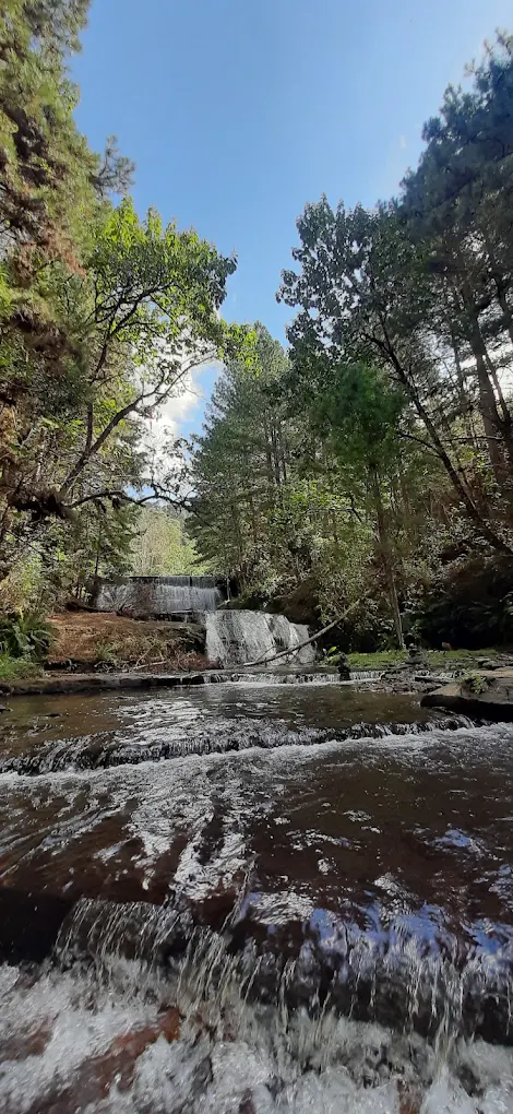 Próximo à Cachoeira - imagem 5