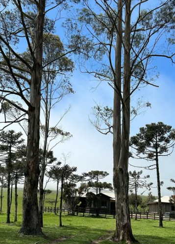 Camping da Ronda Rio do Rastro