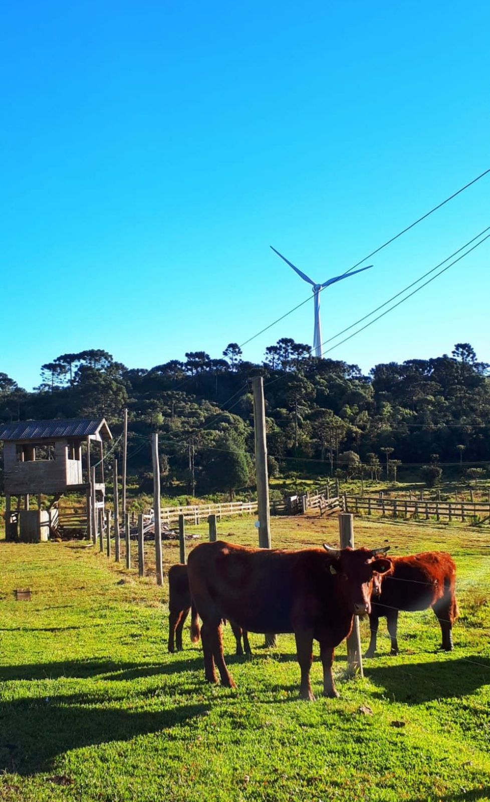 Área Externa Aberta de Camping - imagem 5