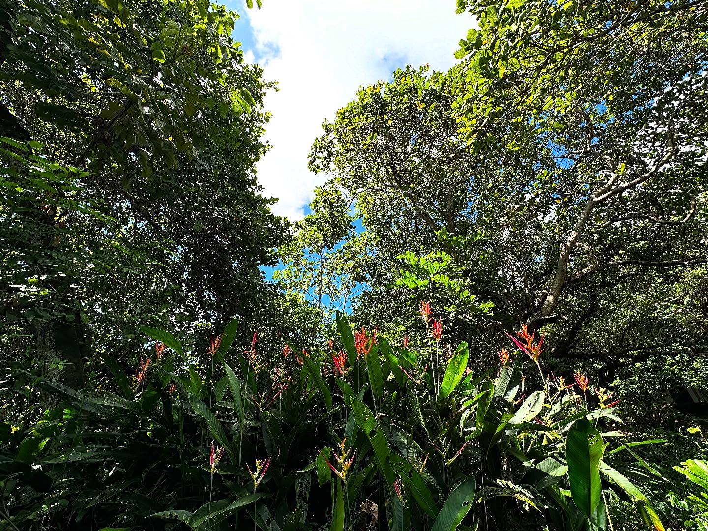 Camping da Matta - Natal - Imagem 24